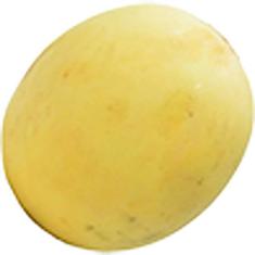 Melão Orange un