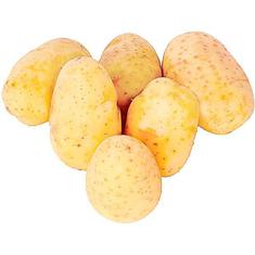 Batata Lavada Extra Kg