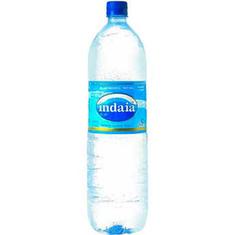Água Mineral sem Gás Indaiá 500ml