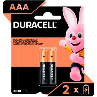 Pilha Alcalina Duracell Aaa 2 unidades