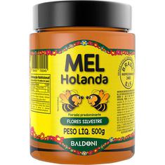 Mel de Abelha Flores Silvestres Holanda 500g