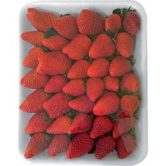 Morango Bandeja 1kg