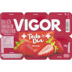 Bebida Láctea sabor Morango Polpa Vigor Todo Dia 540g