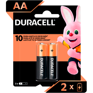 Pilha Alcalina Duracell AA 2 unidades