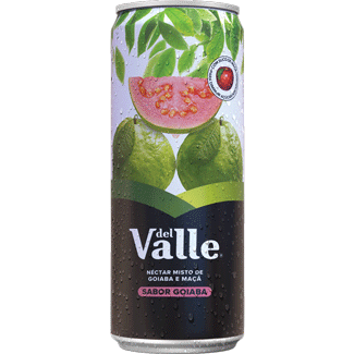 Néctar de Goiaba Del Valle 290ml