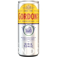 Gin Tônica London Dry Premium Gordons 269ml
