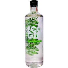Gin Eco Pet 1L