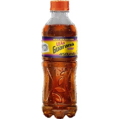 Bebida Mista Guaraná com Açaí Leão 450ml